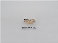 藏品(彎拐美苔蛾)的圖片